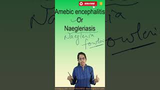 Amebic encephalitis or Naegleriasis kerala upscprelims2025 gs [upl. by Woodring118]