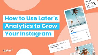 The Best Instagram Analytics Tool for Insights [upl. by Lovich858]