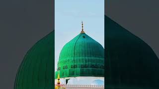 Mareeze Dard isyanam agisni ya Rasool Allah islamic short vidio [upl. by Ilowell]