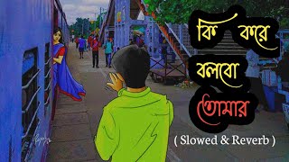 ki kore bolbo tomay slowed reverb  female version 🎧 bangla [upl. by Immas]