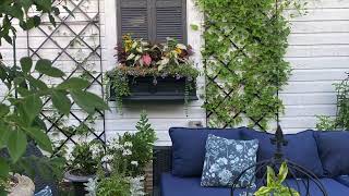 Sun to Shade colorful Window box garden shorts garden gardening summer flowers selfwatering [upl. by Ylerebmik231]