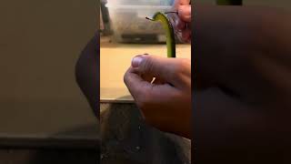 How To Make A Weedless Rig For Bass Fishing [upl. by Adiela]