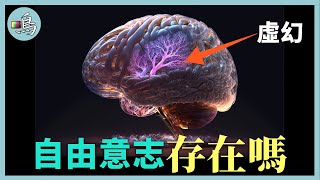 人的命運是上天注定嗎？ 耗時200年，數十位頂尖科學家終於發現答案 l 老鳴TV [upl. by Idalina652]