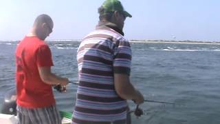 Hi Flier 9712 Light Tackle Fishing Houndfish Needlefish Live Grass Shrimping Barnegat Inlet [upl. by Alleunam129]