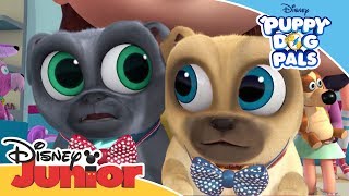 Nat and Essie play with Paw Patrol Squishy Mashems Super Pups [upl. by Gracye]