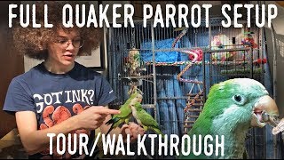 QUAKER PARROT CAGE TOUR Full Enclosure Walkthrough for Small Parrots [upl. by Accebber429]