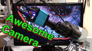 Cheap HD Microscope Camera Review  Compound amp Stereo scope examples [upl. by Thamos]