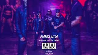 Sandunga Remix  Don Omar Wisin Yandel Daiki Music Tech House [upl. by Orecul]