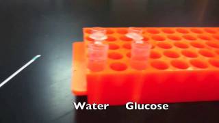 Lab Protocols  Determining the Amount of Glucose Produced via Colorimetric Strips Unit 8 Enzymes [upl. by Cozza257]