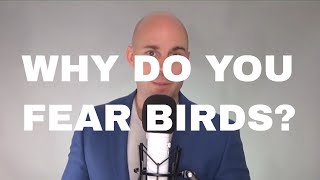 Phobia Guru explains Fear Of Birds  Ornithophobia [upl. by Athena]