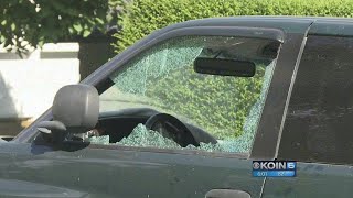 At least 43 cars egged shot in NW Portland [upl. by Ateuqal]