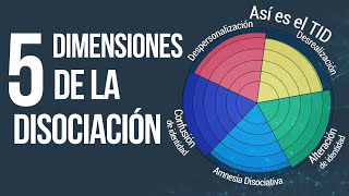 CONFUSIÓN y ALTERACIÓN de Identidad  5 tipos de Disociación  TID [upl. by Alekram]