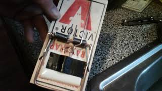 VICTOR RAT TRAPS WORK MODIFICATIONS FOR MY WEASEL BOXES FAIL GLUE WONT HOLD FROM THE POWER [upl. by Marelda23]