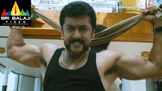 Singam Yamudu2 Climax Fight Scene  Suriya Anushka Hansika  Sri Balaji Video [upl. by Sussman]