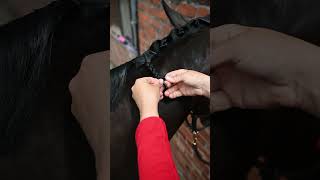 How To Plait A Horse [upl. by Lletnuahs139]