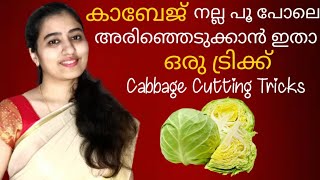 Cabbage Cutting Tricks Malayalam  How To Cut Cabbage  Cabbage Thoran Kerala Style  Tintuzlife [upl. by Linet]