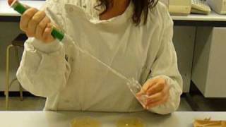 Microbiology Dilution series demonstration [upl. by Danby]