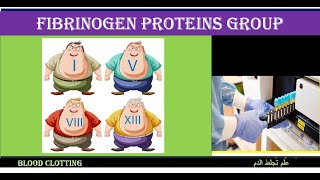 Lecture 32 Fibrinogen Proteins Group [upl. by Niarfe214]