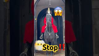 The kings guard horse is very scared shorts foryou history royalguards india royalhorseguard [upl. by Enna]