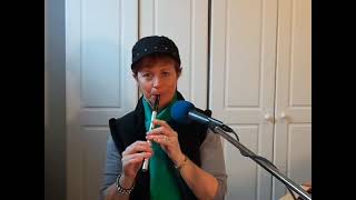 Whiskey in the Jar  tin whistle [upl. by Aria]