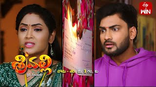 Srivalli Latest Promo  Episode 256  17th February 2024  ETV Telugu [upl. by Enirrok]