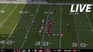 quotCardinals vs Bears  2024 NFL Highlights  Intense Game Recapquot [upl. by Victoria]