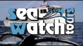 The Sea Watch Tours [upl. by Paine]