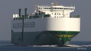 OTELLO  Wallenius Wilhelmsen vehicles carrier [upl. by Mcintyre]