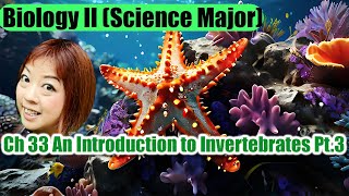 Ch 33 An Introduction to Invertebrates Part 3 [upl. by Nylknarf903]