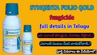 Syngenta folio gold fungicide in telugu  mefenoxam  chorothalonil  syngenta folio gold [upl. by Ramu983]