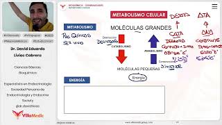 Generalidades  Metabolismo celular [upl. by Fruma]