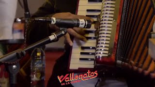 Muchacha Encantadora  EN VIVO  Los Vallenatos De La Cumbia  EN Vivo  Zagar [upl. by Oknuj]