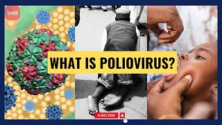 Understanding What Is Poliovirus polio virus health kids youtube video medicine medical [upl. by Alliuqaj543]