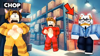 ROBLOX CHOP AND FROSTY PLAY CAT AND DOG HIDE AND SEEK [upl. by Aivital226]