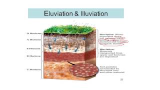 Process of Soil Formation Soil science 12 [upl. by Winther]