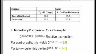 Real Time QPCR Data Analysis Tutorial part 2 [upl. by Elyod]