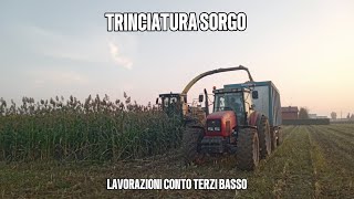 TRINCIATURA SORGO 2024  Lavorazioni conto terzi Basso [upl. by Schindler]