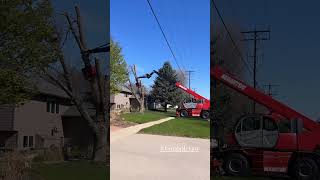 Grapple saw crane tree removal 1 hr job Manitou 2550 grapplesaw [upl. by Ydissahc568]