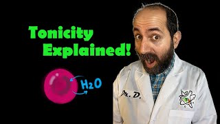 TONICITY EXPLAINED Animal and plant cells in hyper hypo and iso tonic environments [upl. by Snider81]