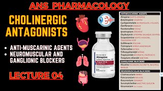 Cholinergic Antagonists  Parasympatholytics  Antimuscarinic Agents Neuromuscular blockers  L4 [upl. by Auroora]