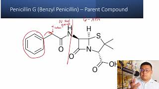 Medicinal Chemistry 3  Penicillins Structure Activity Relationship [upl. by Aneekal874]