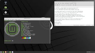 Linux Mint 20 quotUlyanaquot BETA La versión más polémica de Mint Así bloquean Snap y así lo restauras [upl. by Harrington]