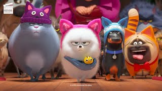 The Secret Life of Pets  Chloe and Max Shot Progression  3D Animation Internships [upl. by Eal737]