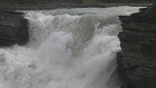 Waterfalls of Jasper NP Sunwapta and Athabasca Rivers [upl. by Hermia]