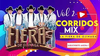 La Fiera De Ojinaga  Corridos Mix Vol 2 [upl. by Otreblanauj]