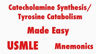 Catecholamine Synthesis Tyrosine Catabolism USMLE Mnemonics [upl. by Seilenna]