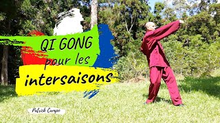 Qi Gong pour les Intersaisons  Élément TERRE  Renforce la Rate le Pancréas lEstomac [upl. by Nirel]