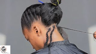 Two Strand Twist 4Month Lasting Tutorial Trying This New Method [upl. by Rempe]