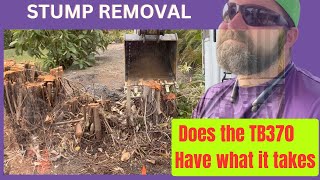 Removing Stumps in Sarasota with the TAKEUCHI TB370 Compact Excavator [upl. by Cordell747]