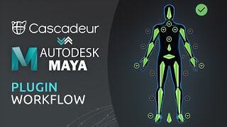 Cascadeur to Autodesk Maya  Bridge Plugin Workflow Tutorial [upl. by Esmond367]